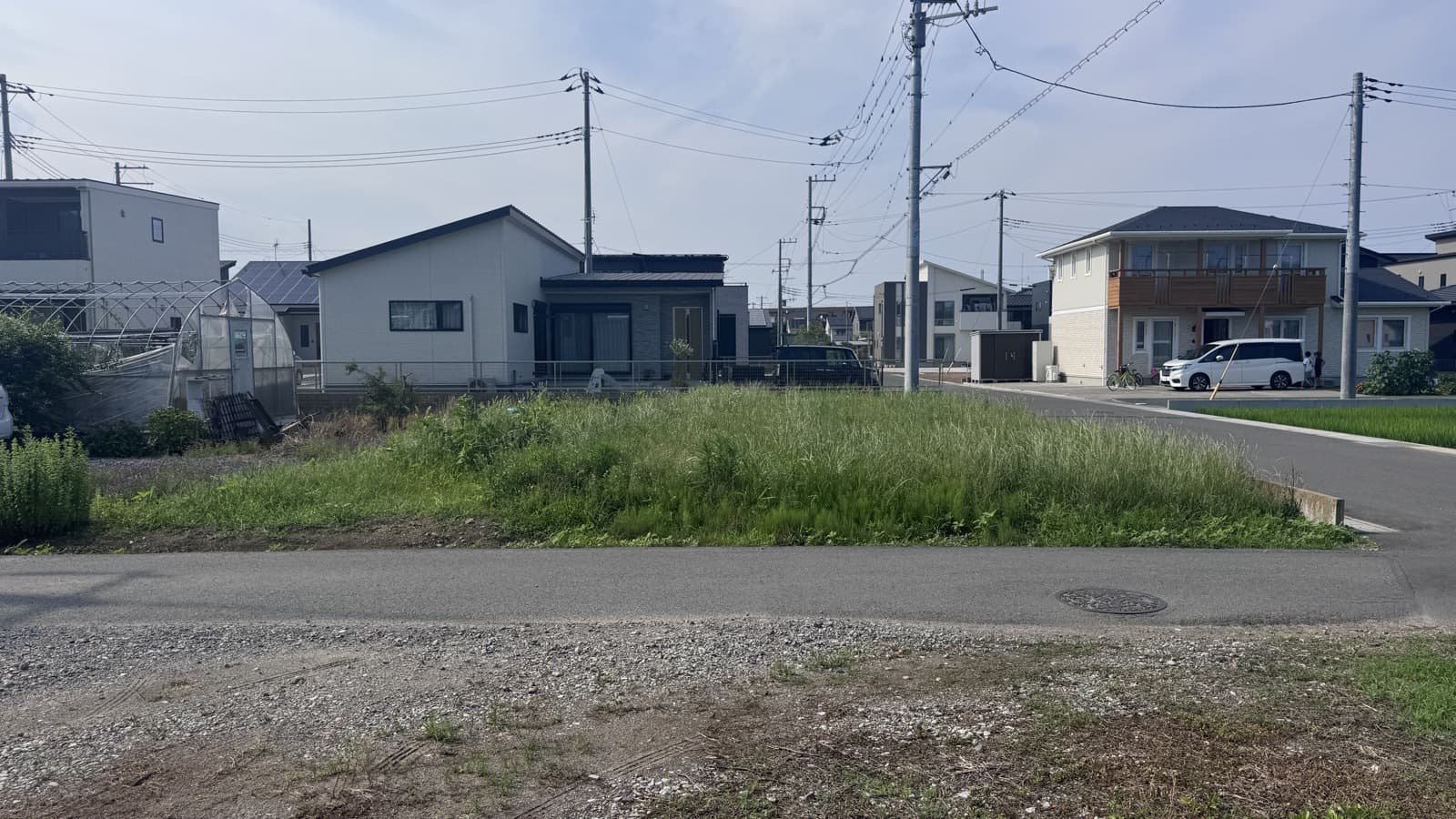 南側から撮影