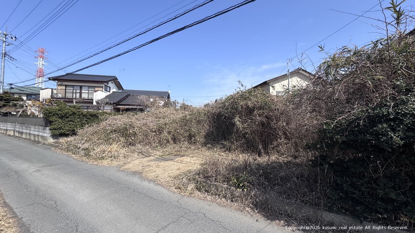 南西側から撮影