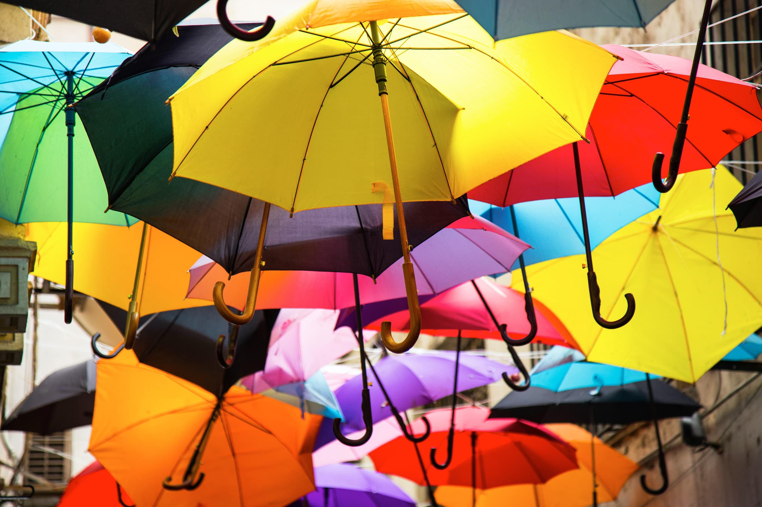 assorted-colors-umbrella.jpg